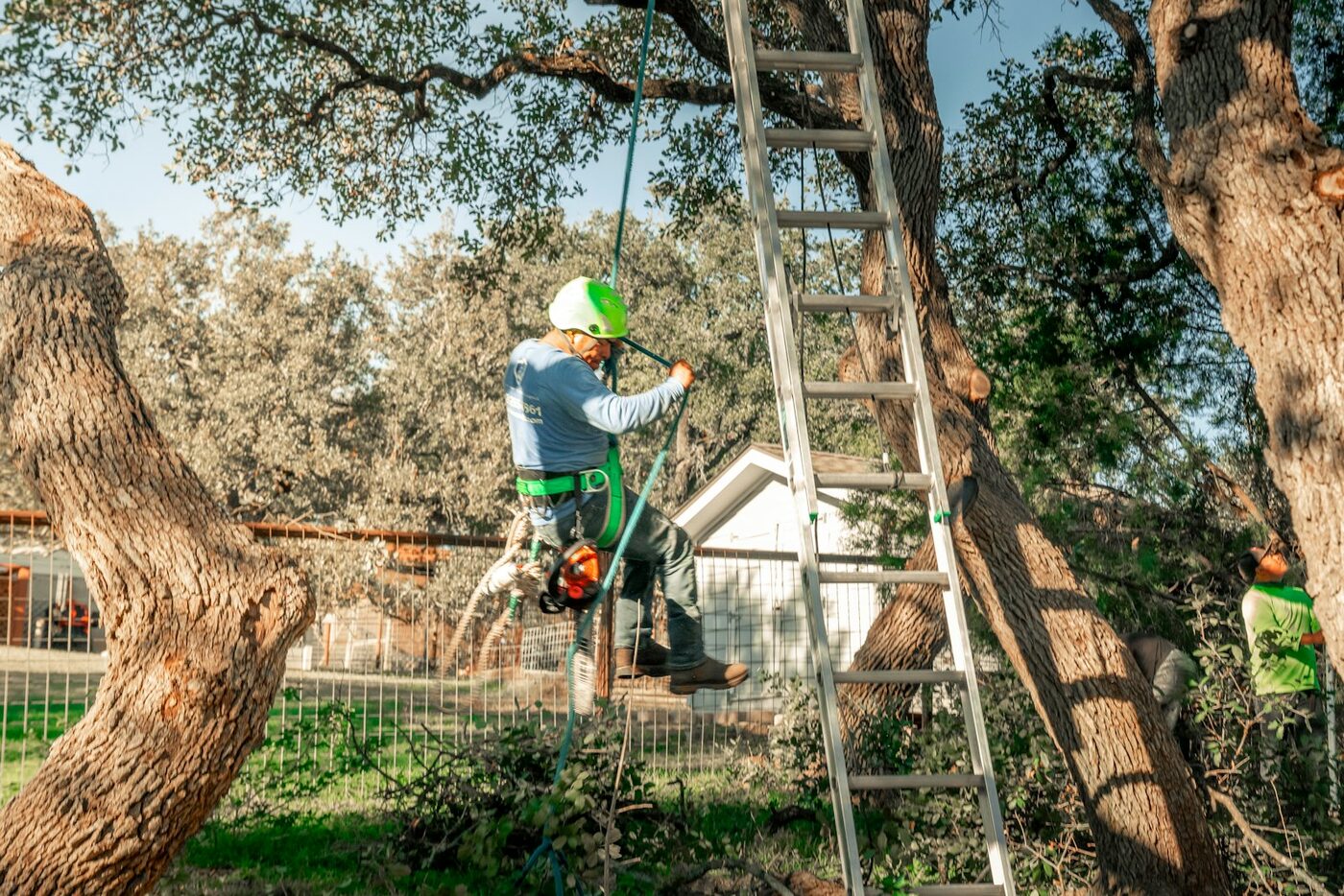 Crown Reduction & Shaping thumbnail 2