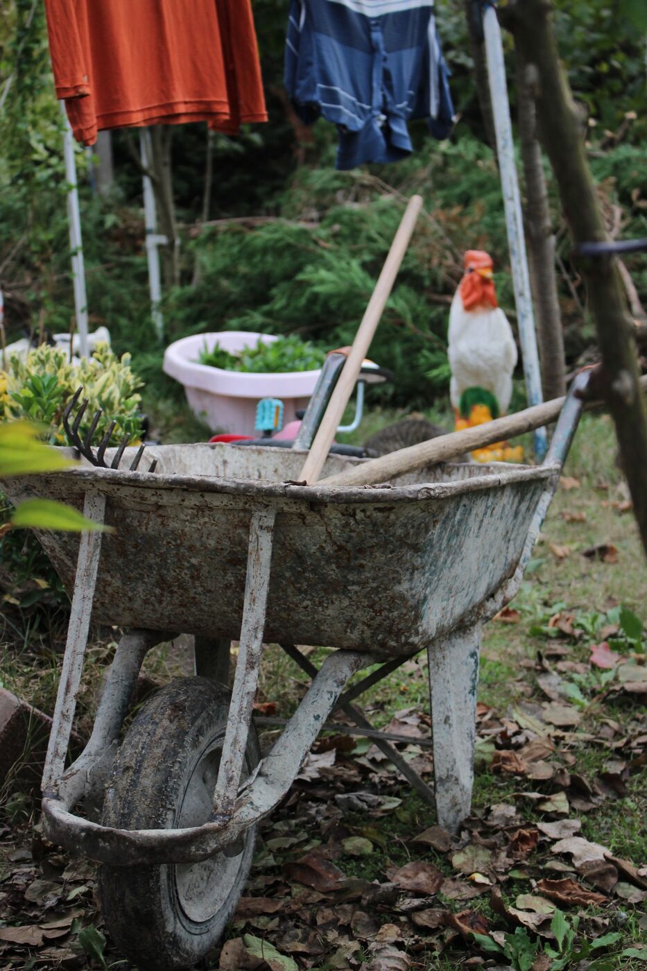 Garden Clearance - BP Tree & Landscaping Services