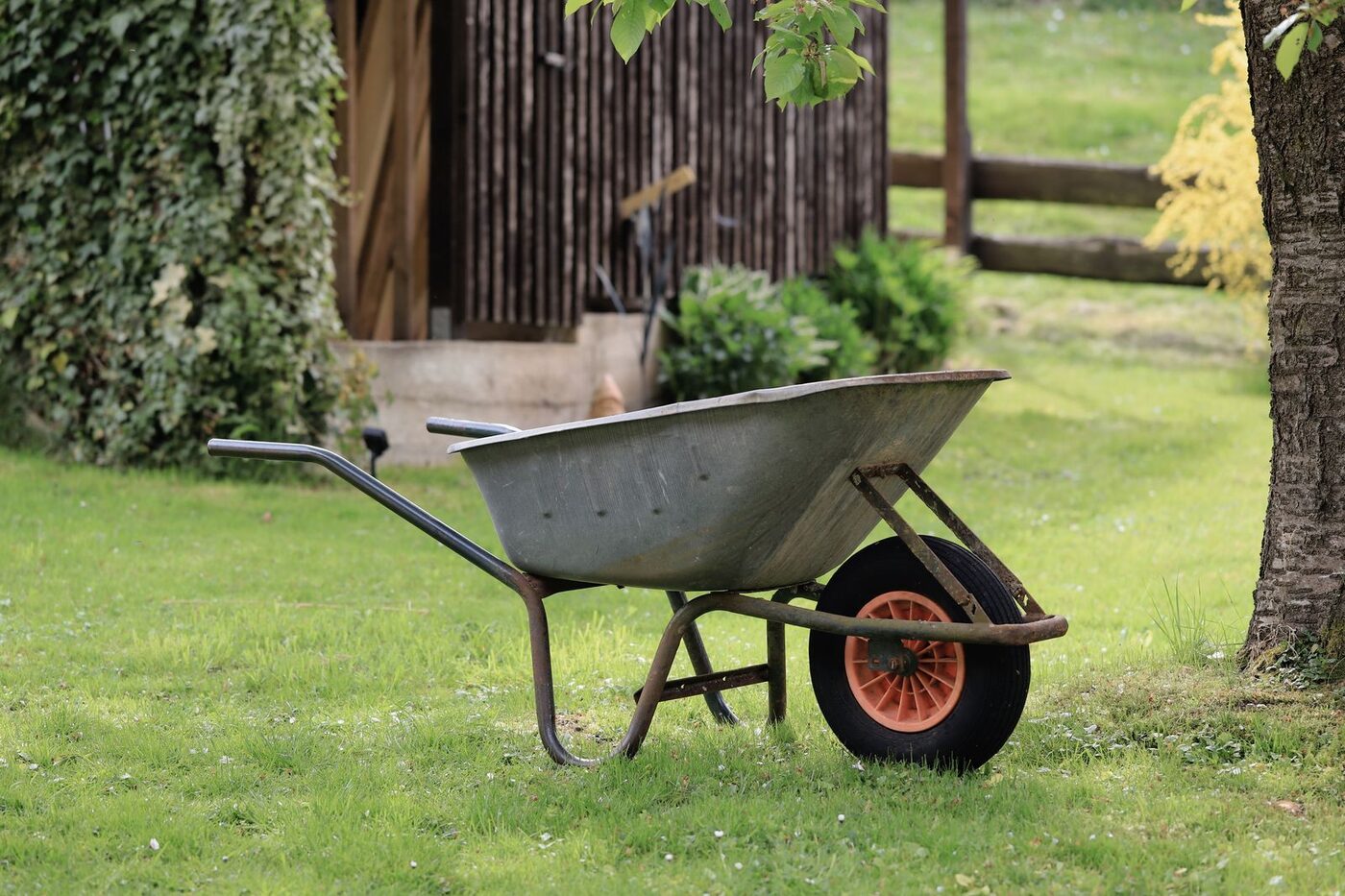 Garden Clearance thumbnail 2