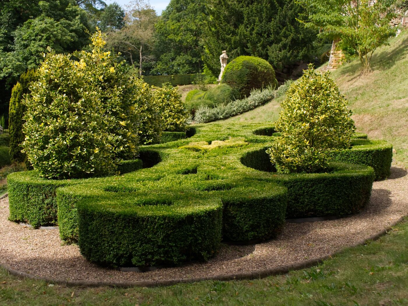 Garden Clearance thumbnail 4