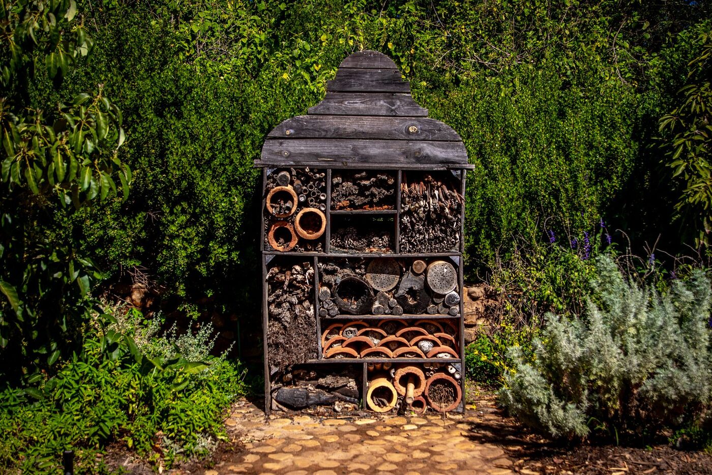 Garden Clearance thumbnail 5
