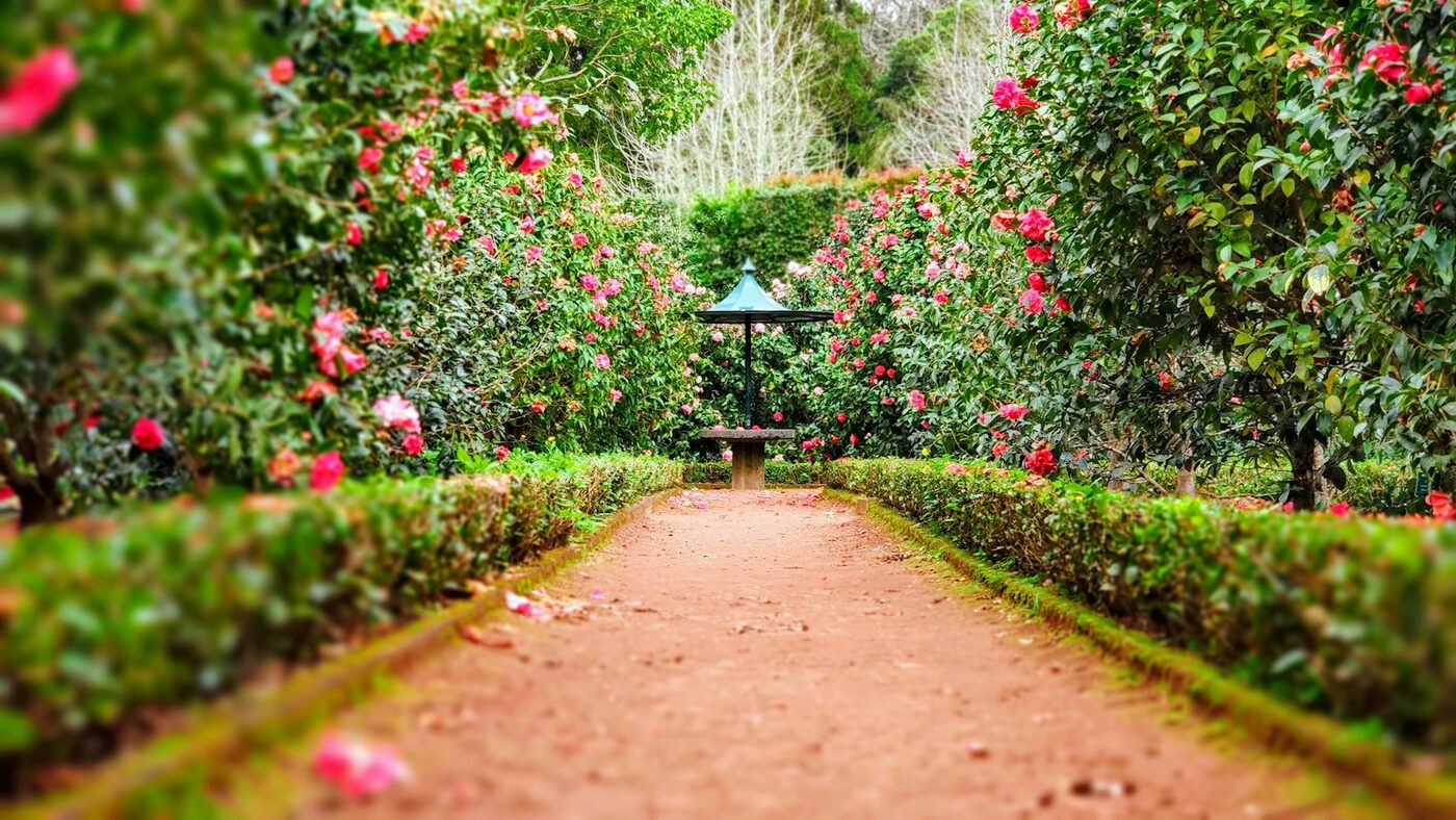 Garden Design & Landscaping - BP Tree & Landscaping Services