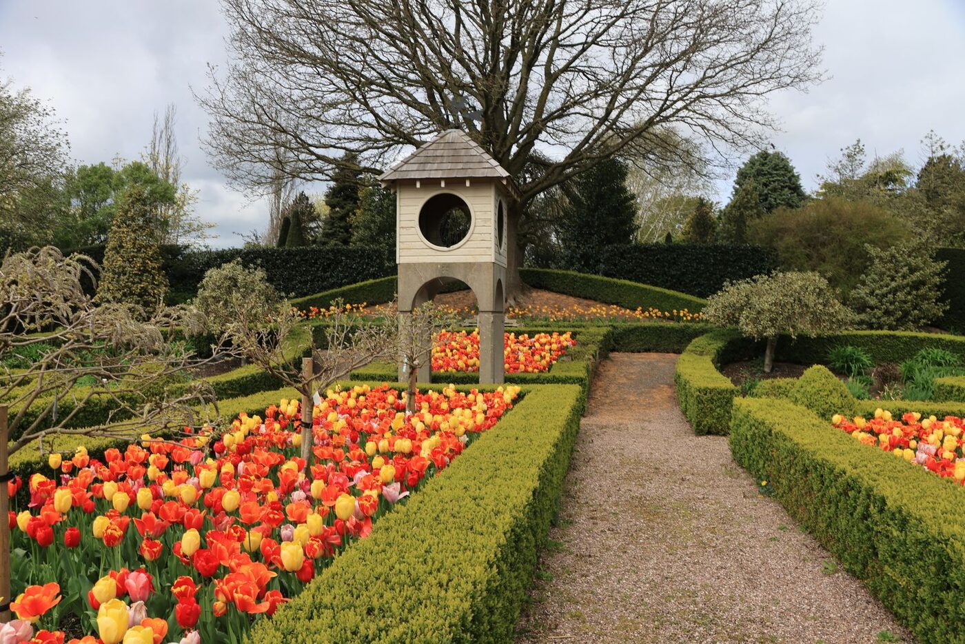 Garden Design & Landscaping thumbnail 2