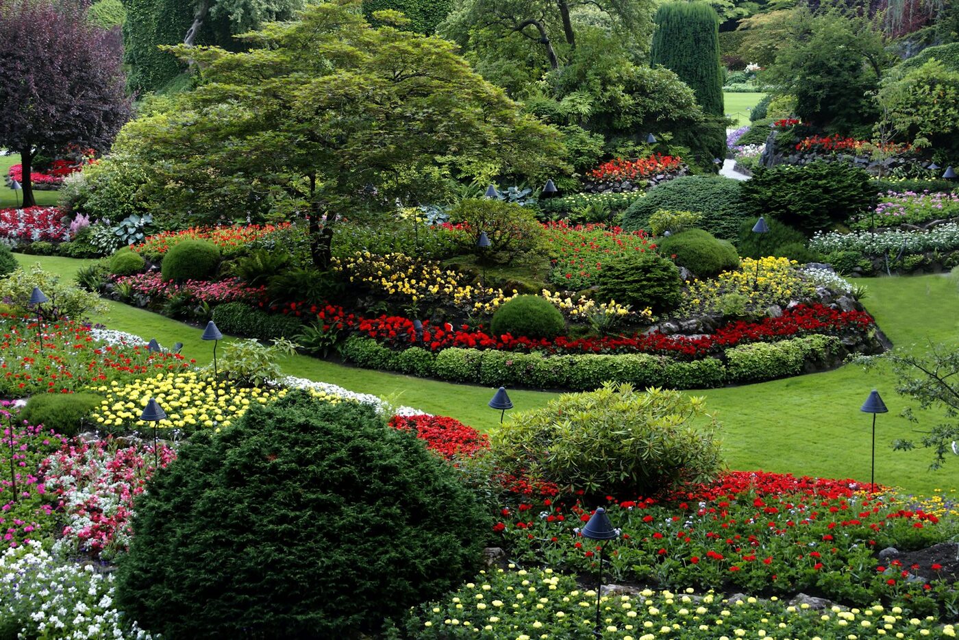Garden Design & Landscaping thumbnail 3