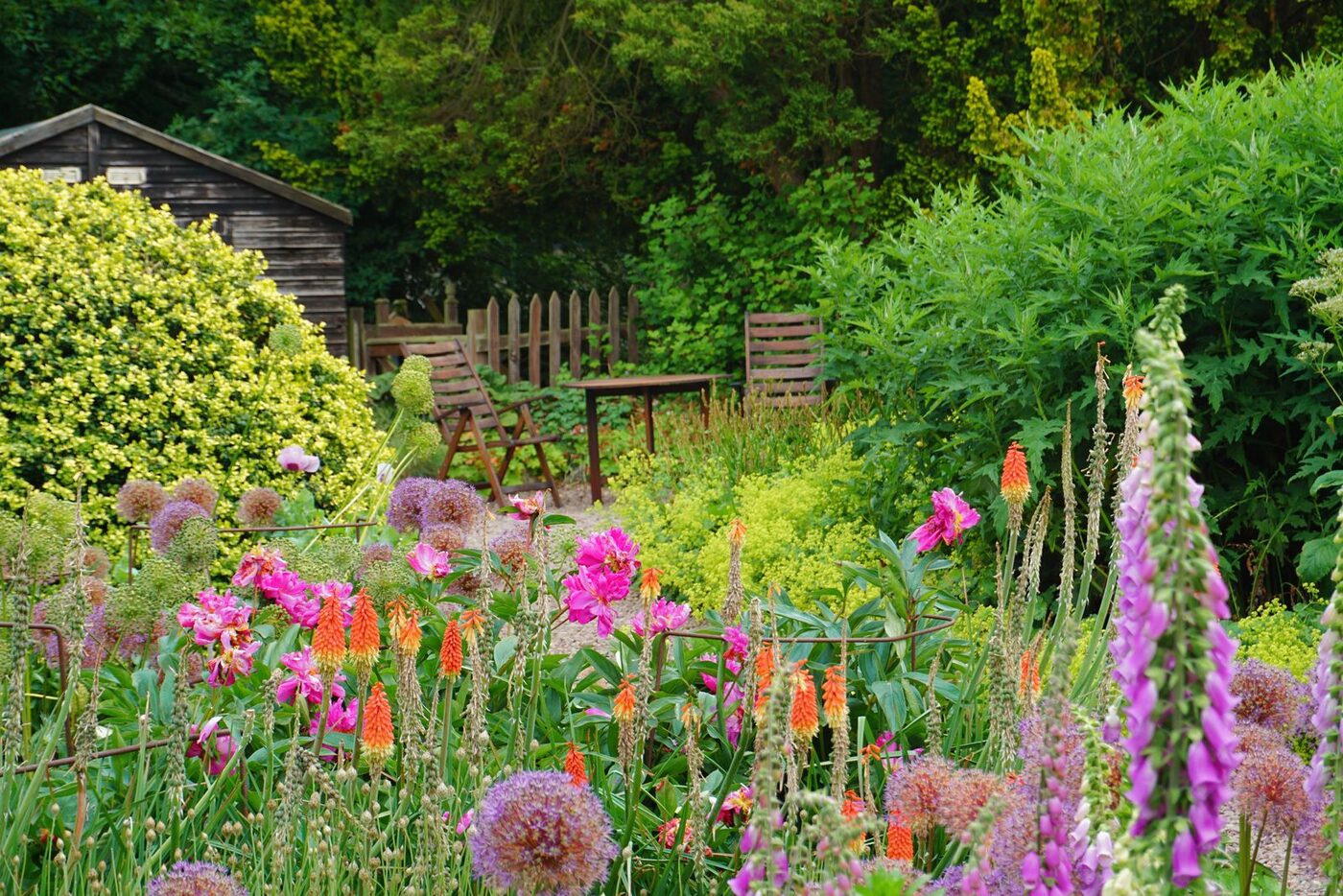 Garden Design & Landscaping thumbnail 5