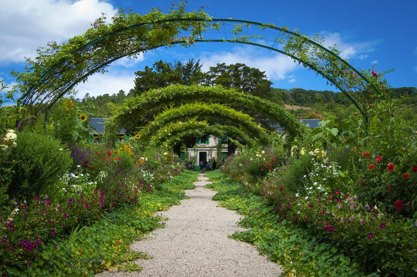 Garden Design & Landscaping thumbnail 6