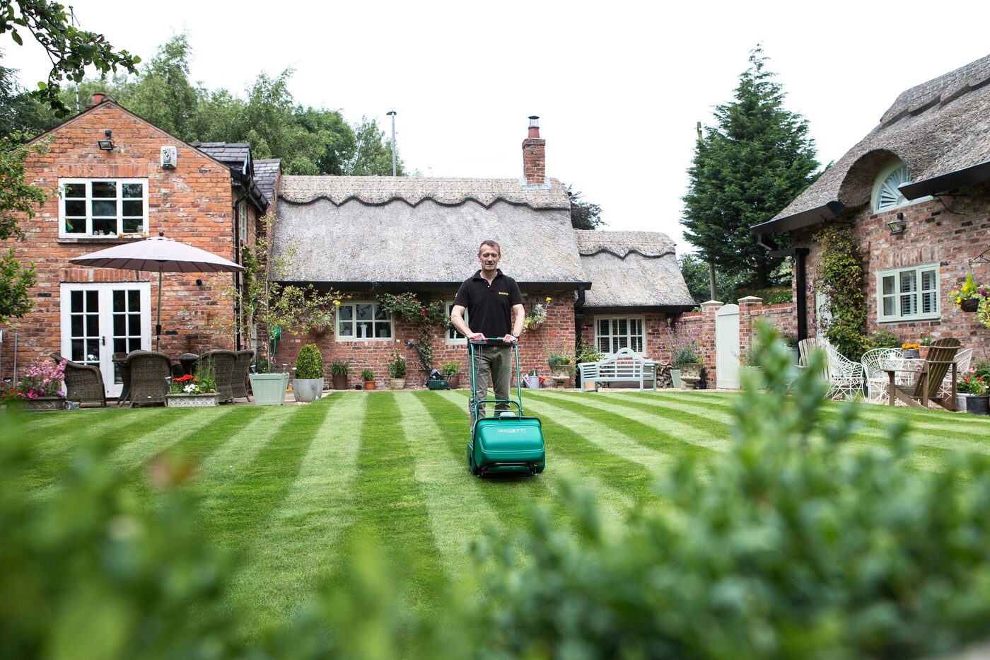 Lawn Care & Maintenance thumbnail 3