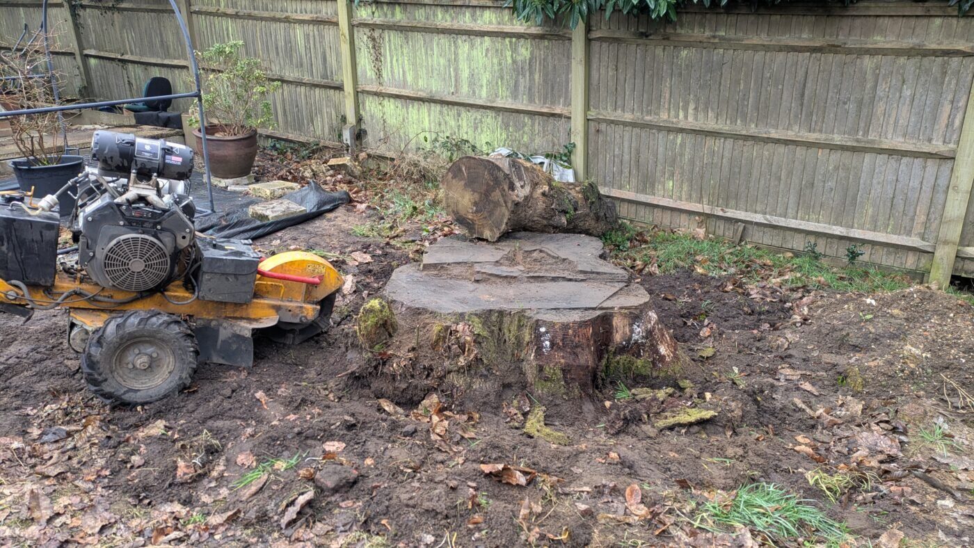 Stump Grinding & Removal - BP Tree & Landscaping Services