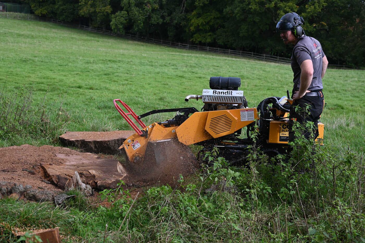 Stump Grinding & Removal thumbnail 4