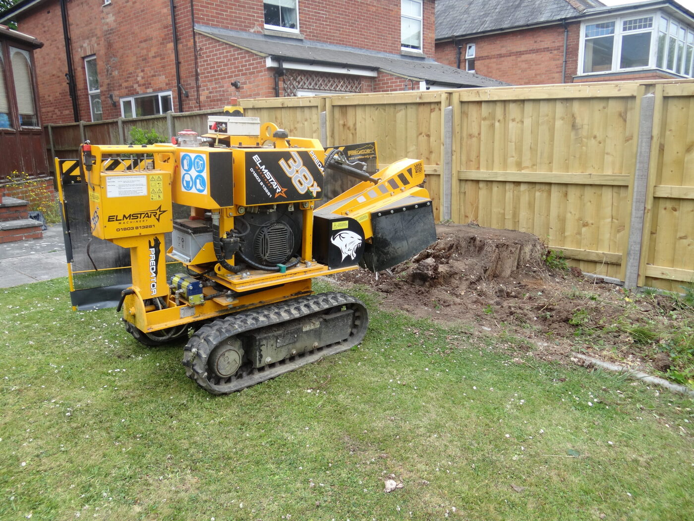 Stump Grinding & Removal thumbnail 6