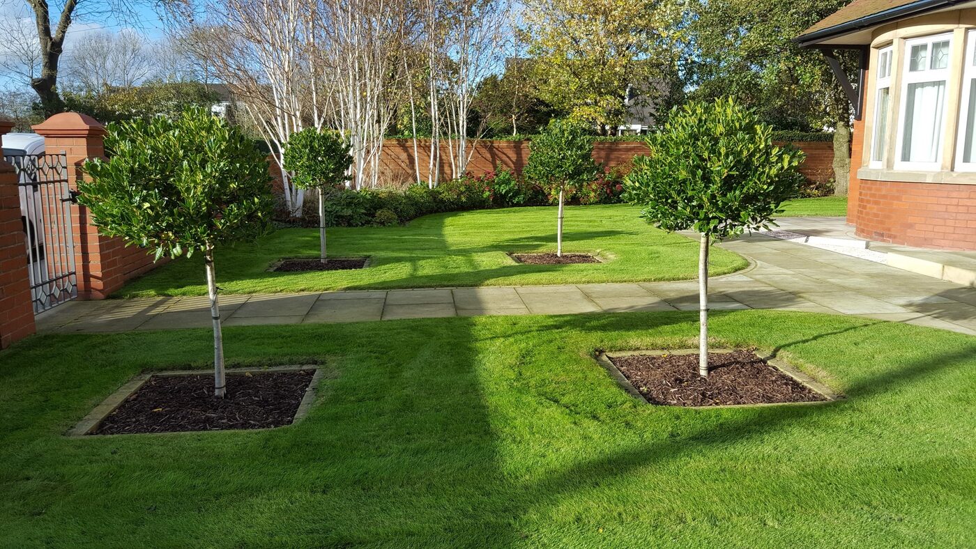 Tree Planting thumbnail 4